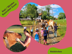 Tiere füttern auf dem Biohof Strobl bei München