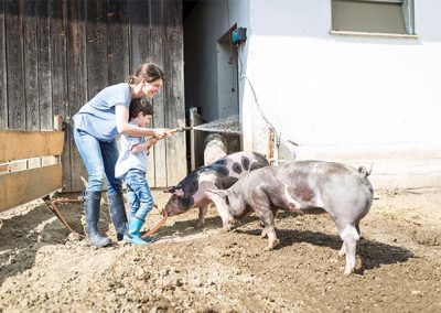 Erlebnisbauernhof mit Freilandschweinen bei Aichach/Augsburg