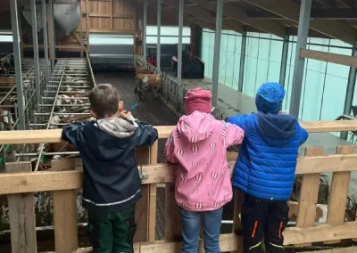 Erlebnisbauernhof im Bayerischen Wald/Kollnburg